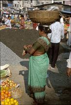 india-2006jan-05_007