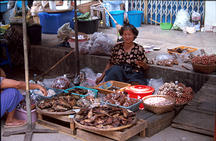 thailand-2_013